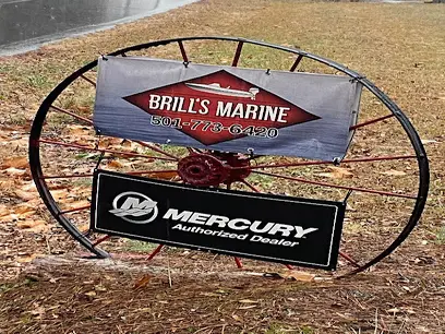 Brill's Marine